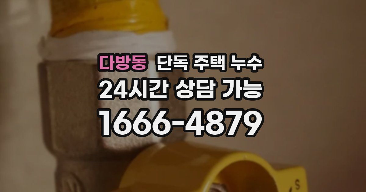 다방동 단독 주택 누수