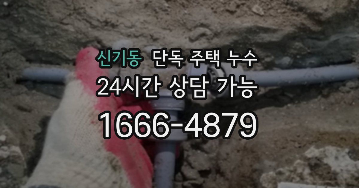 신기동 단독 주택 누수