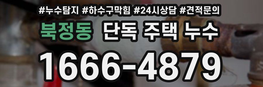 북정동 단독 주택 누수