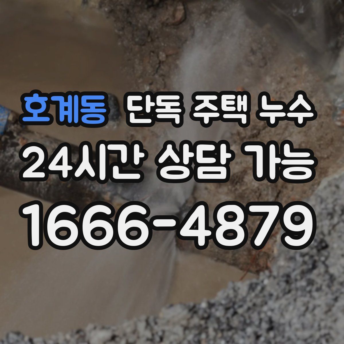 호계동 단독 주택 누수