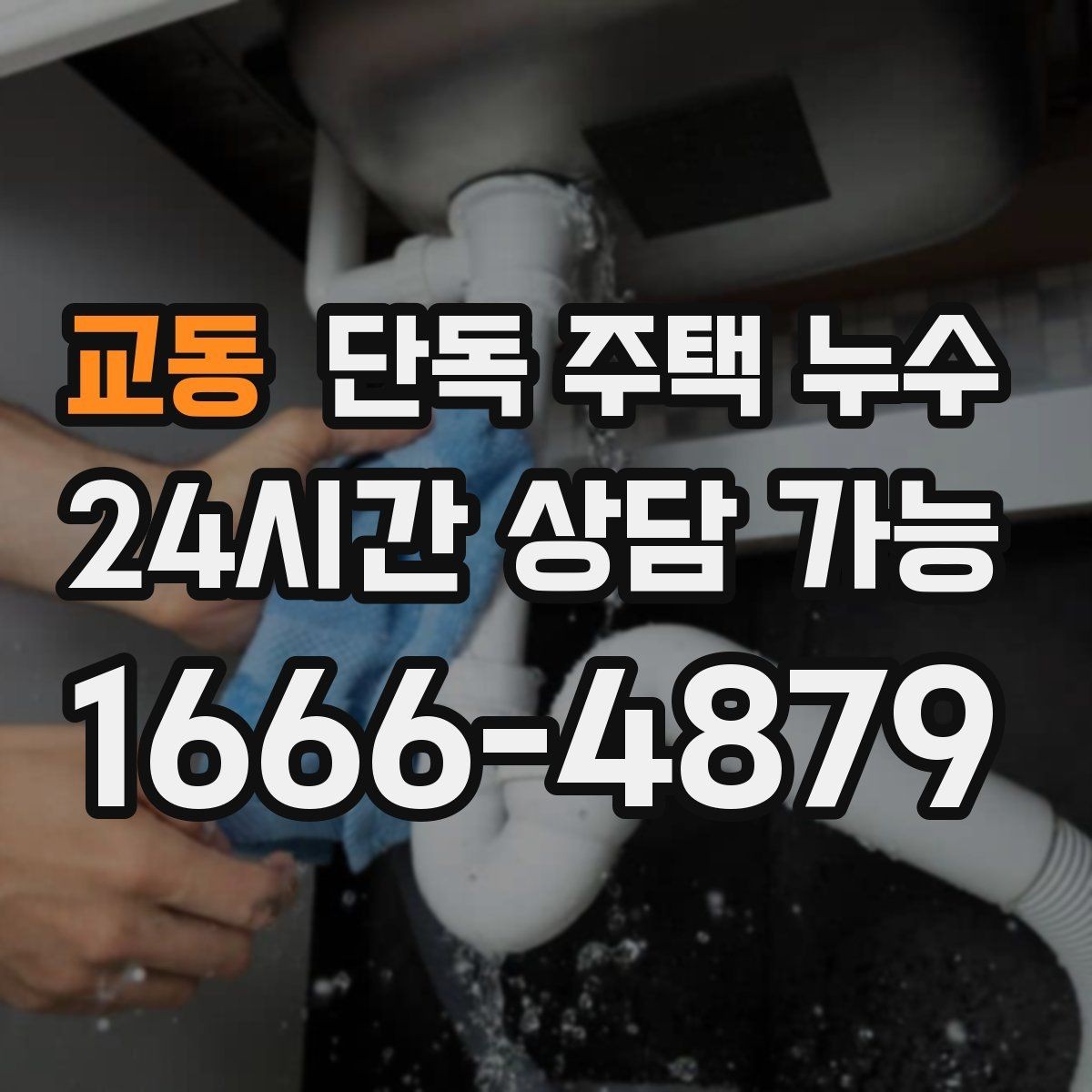 교동 단독 주택 누수 욕실 천장에서 물이 떨어질 때 원인
