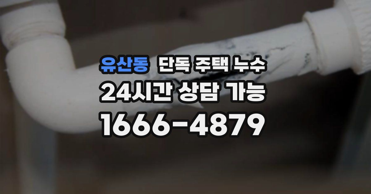 유산동 단독 주택 누수