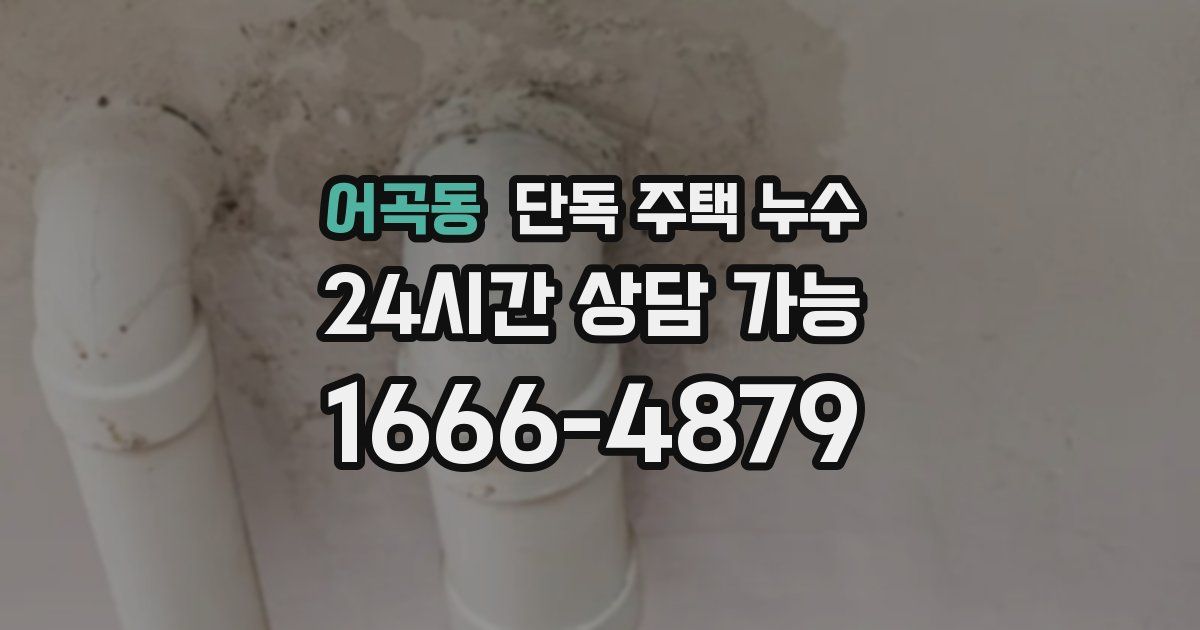 어곡동 단독 주택 누수