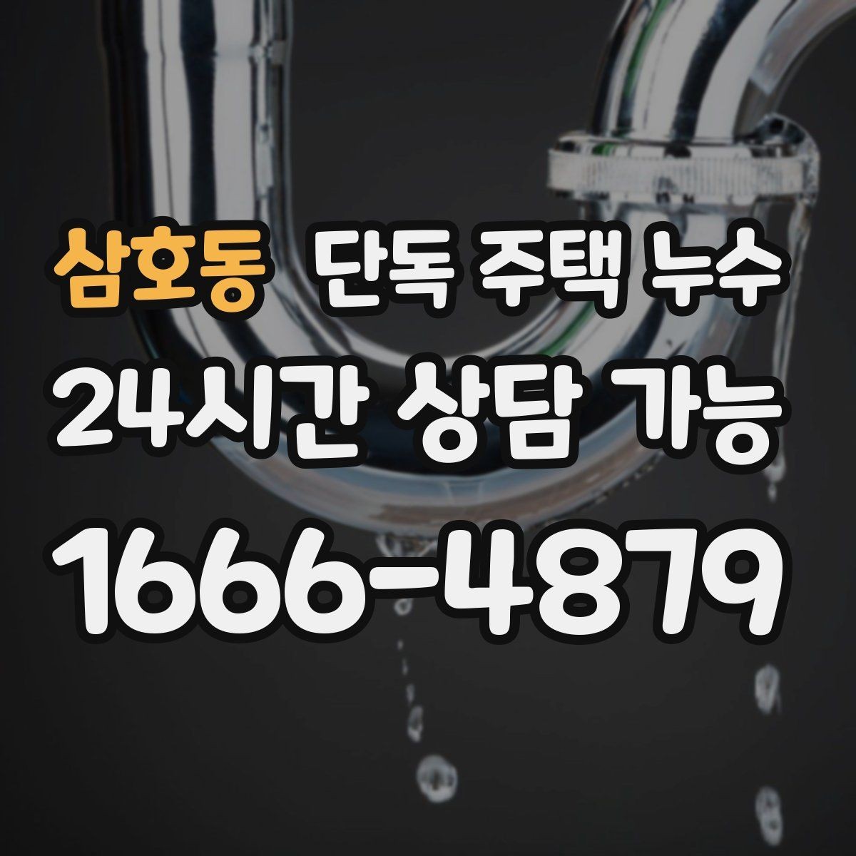 삼호동 단독 주택 누수 걸레받이 주변이 부풀어 오를 때