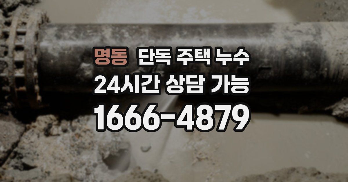 명동 단독 주택 누수