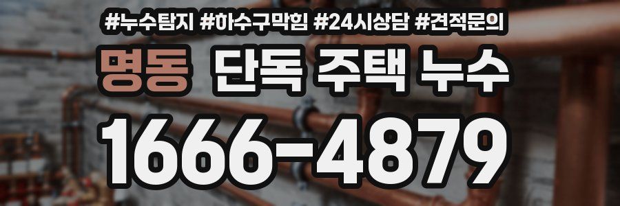 명동 단독 주택 누수