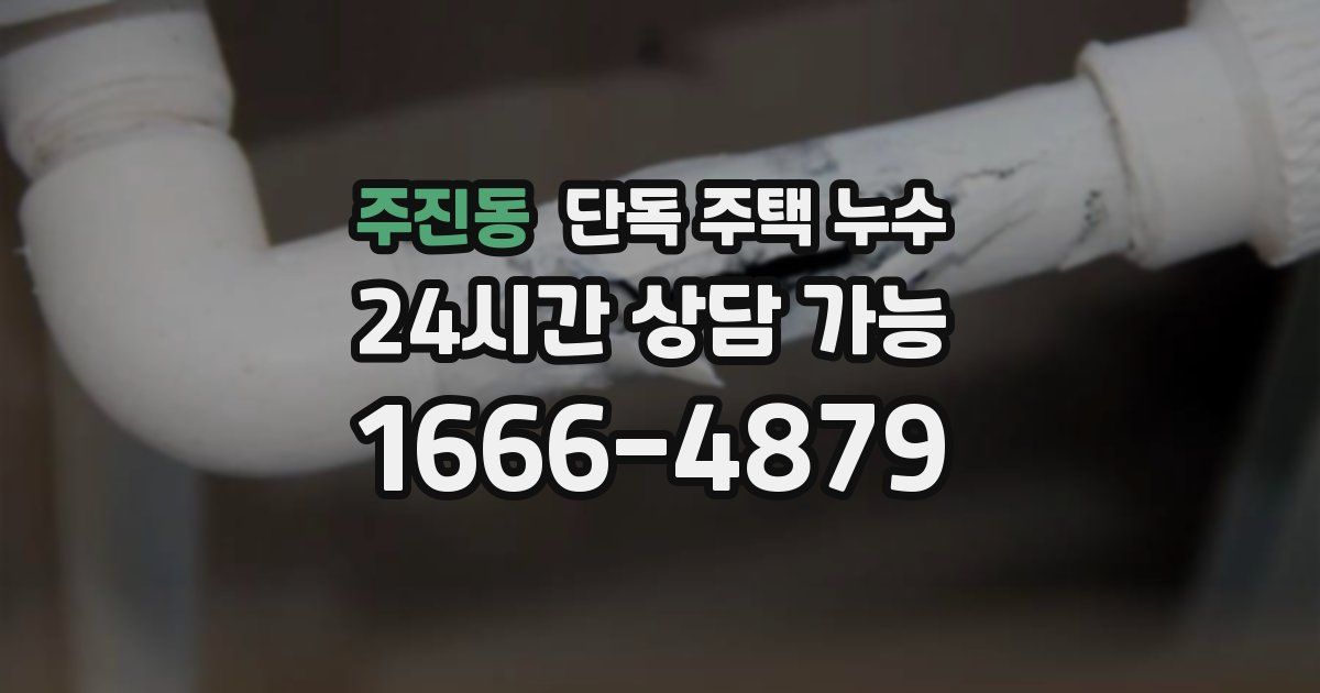 주진동 단독 주택 누수