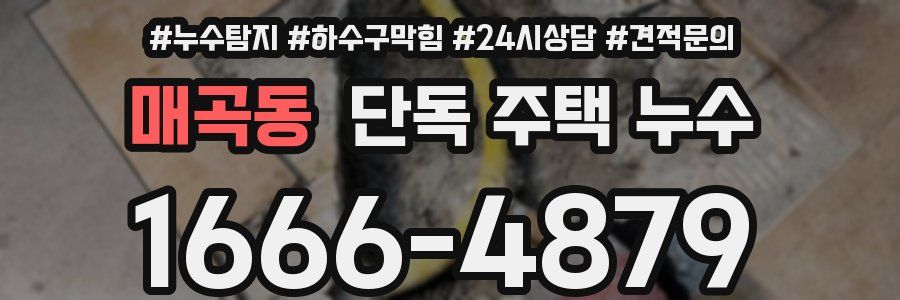 매곡동 단독 주택 누수