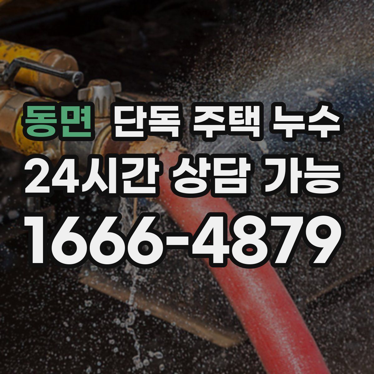 동면 단독 주택 누수