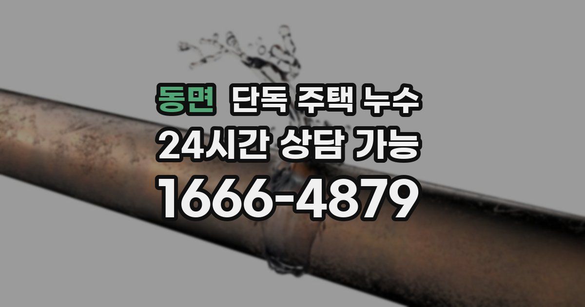 동면 단독 주택 누수