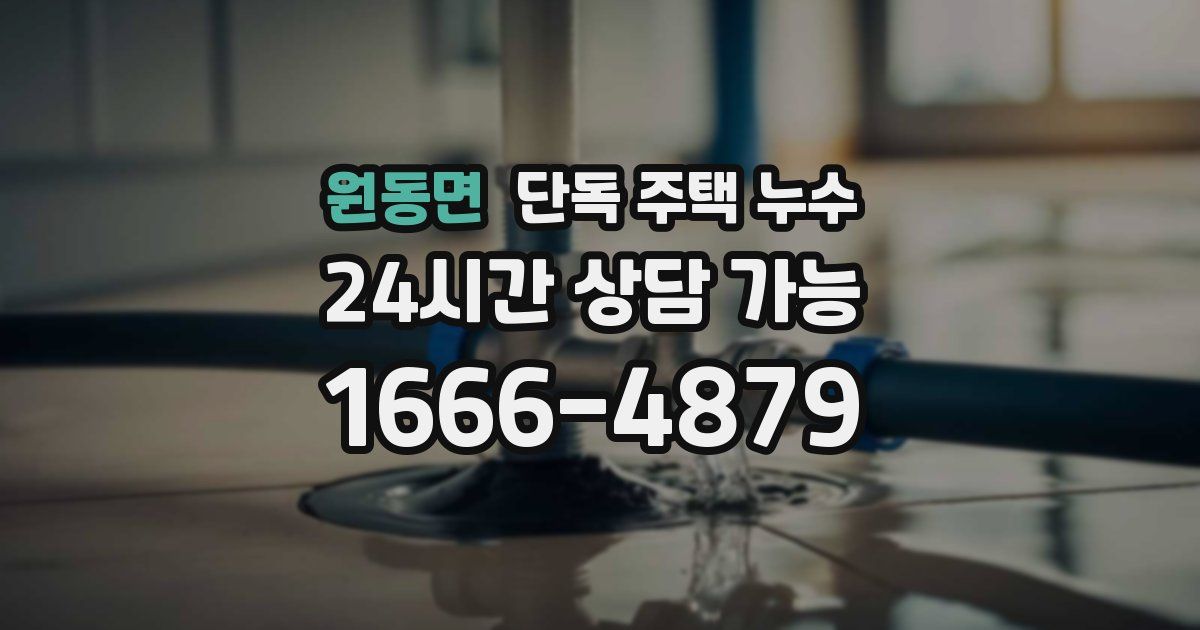 원동면 단독 주택 누수