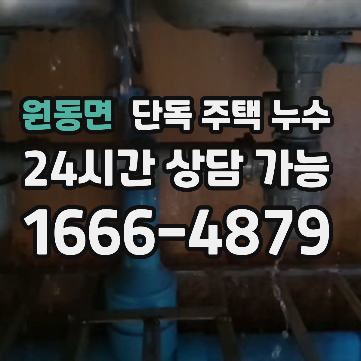 원동면 단독 주택 누수