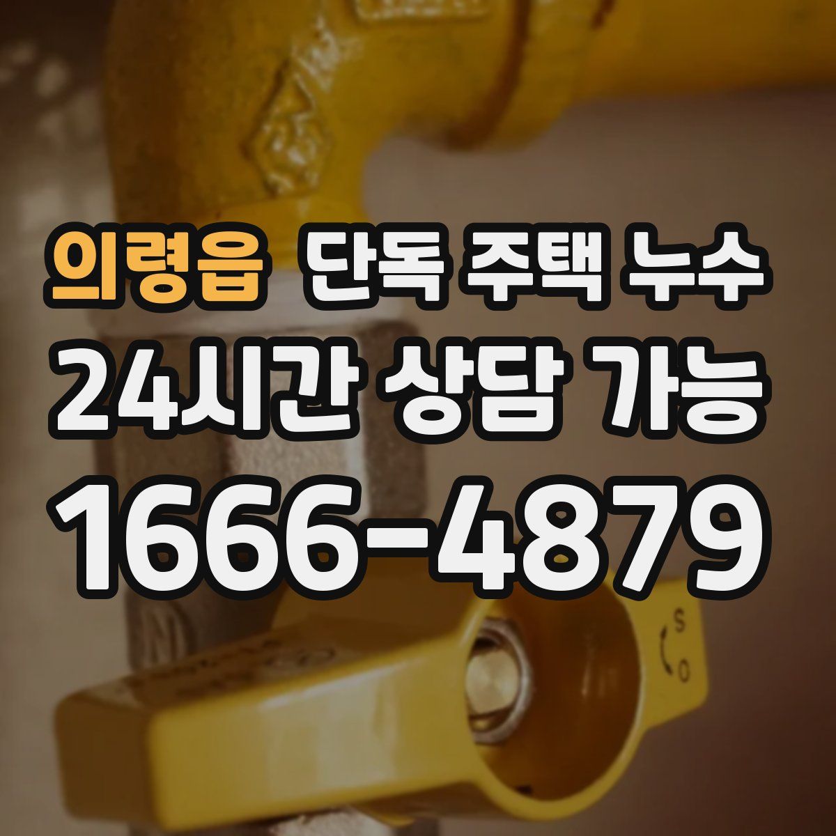 의령읍 단독 주택 누수