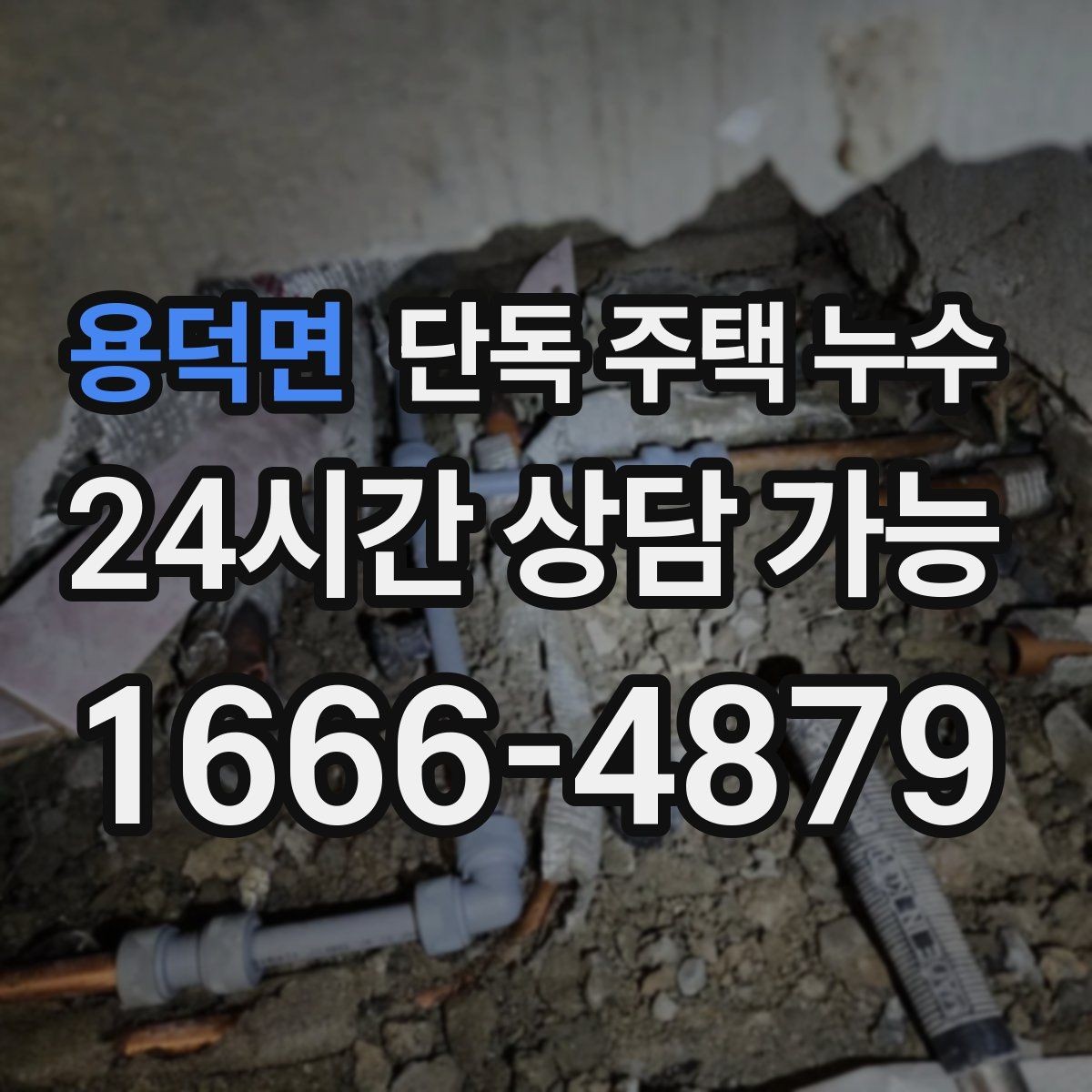 용덕면 단독 주택 누수 작은 균열이 큰 피해로 번지는 과정