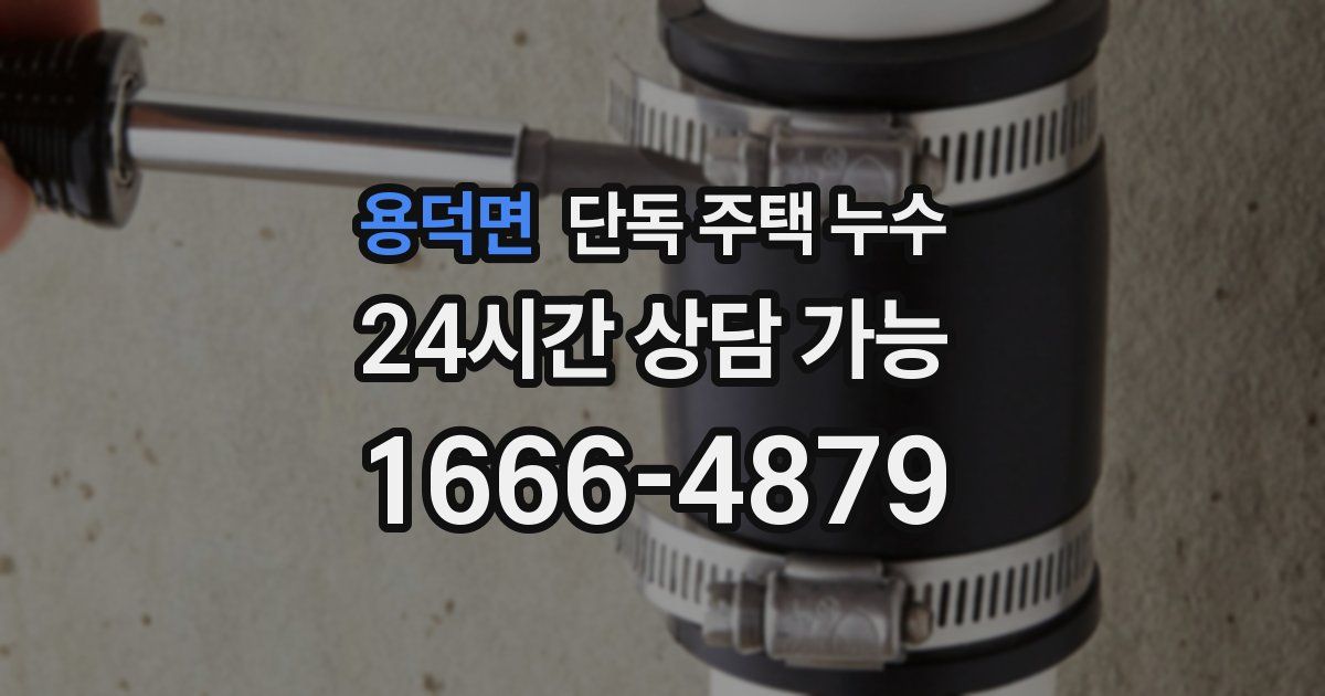 용덕면 단독 주택 누수