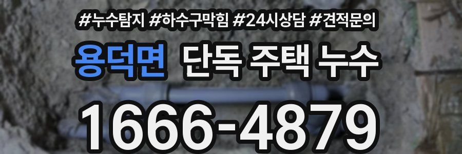 용덕면 단독 주택 누수