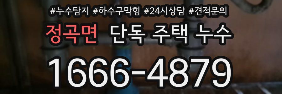 정곡면 단독 주택 누수