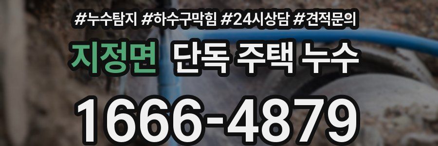 지정면 단독 주택 누수