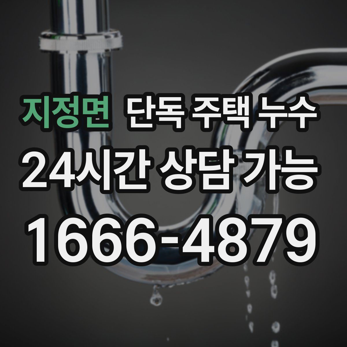 지정면 단독 주택 누수