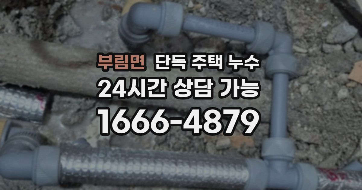 부림면 단독 주택 누수