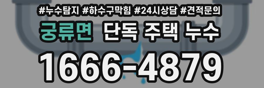 궁류면 단독 주택 누수