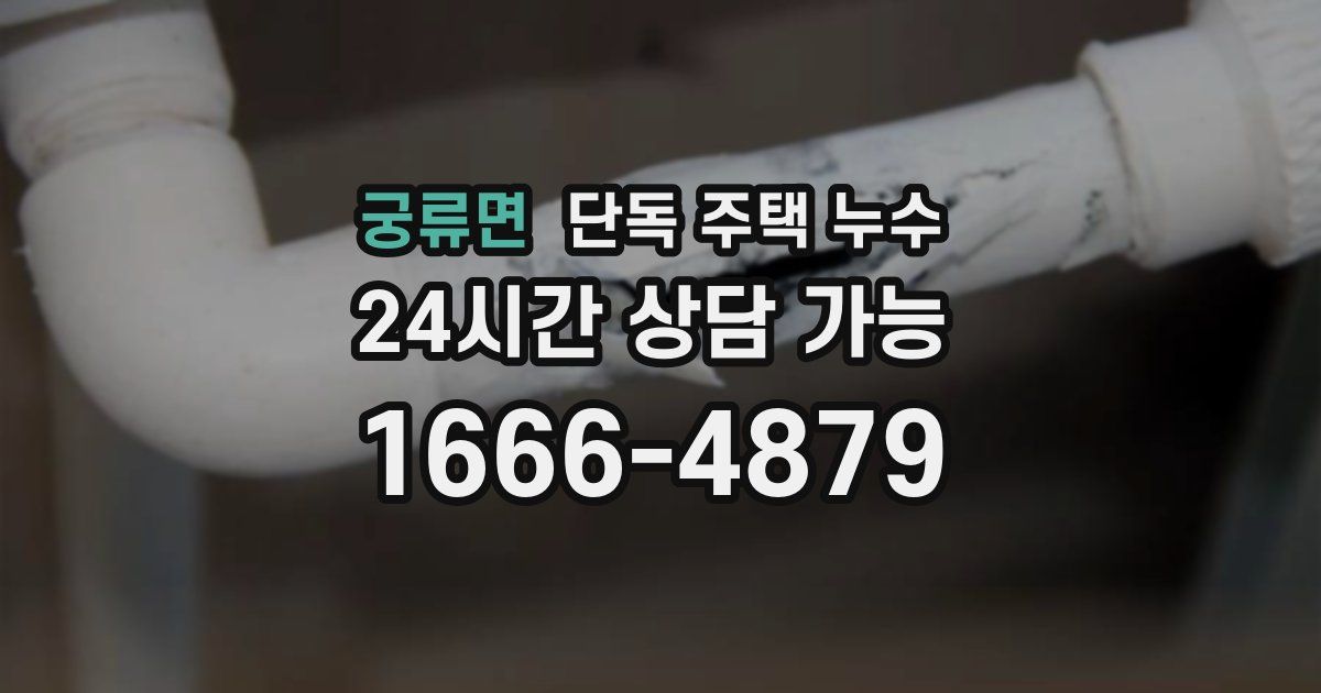 궁류면 단독 주택 누수