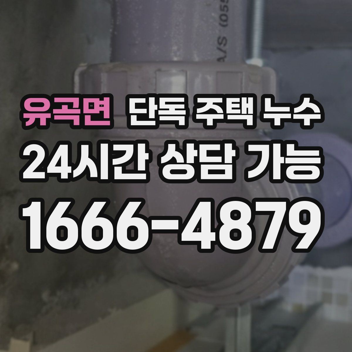 유곡면 단독 주택 누수 보일러 분배기 주변이 젖을 때