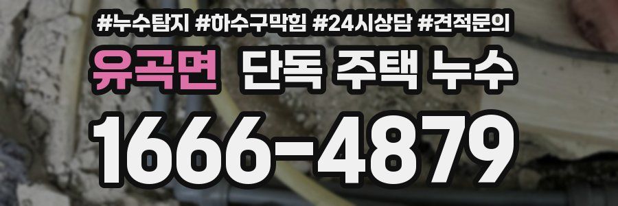 유곡면 단독 주택 누수
