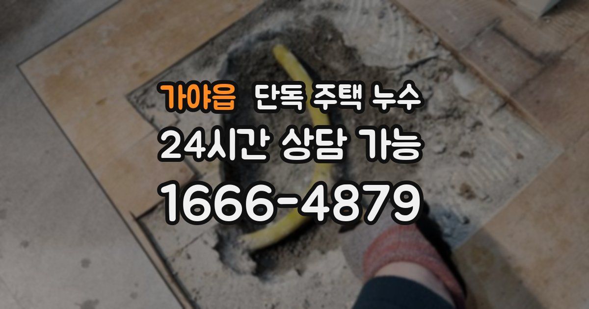 가야읍 단독 주택 누수