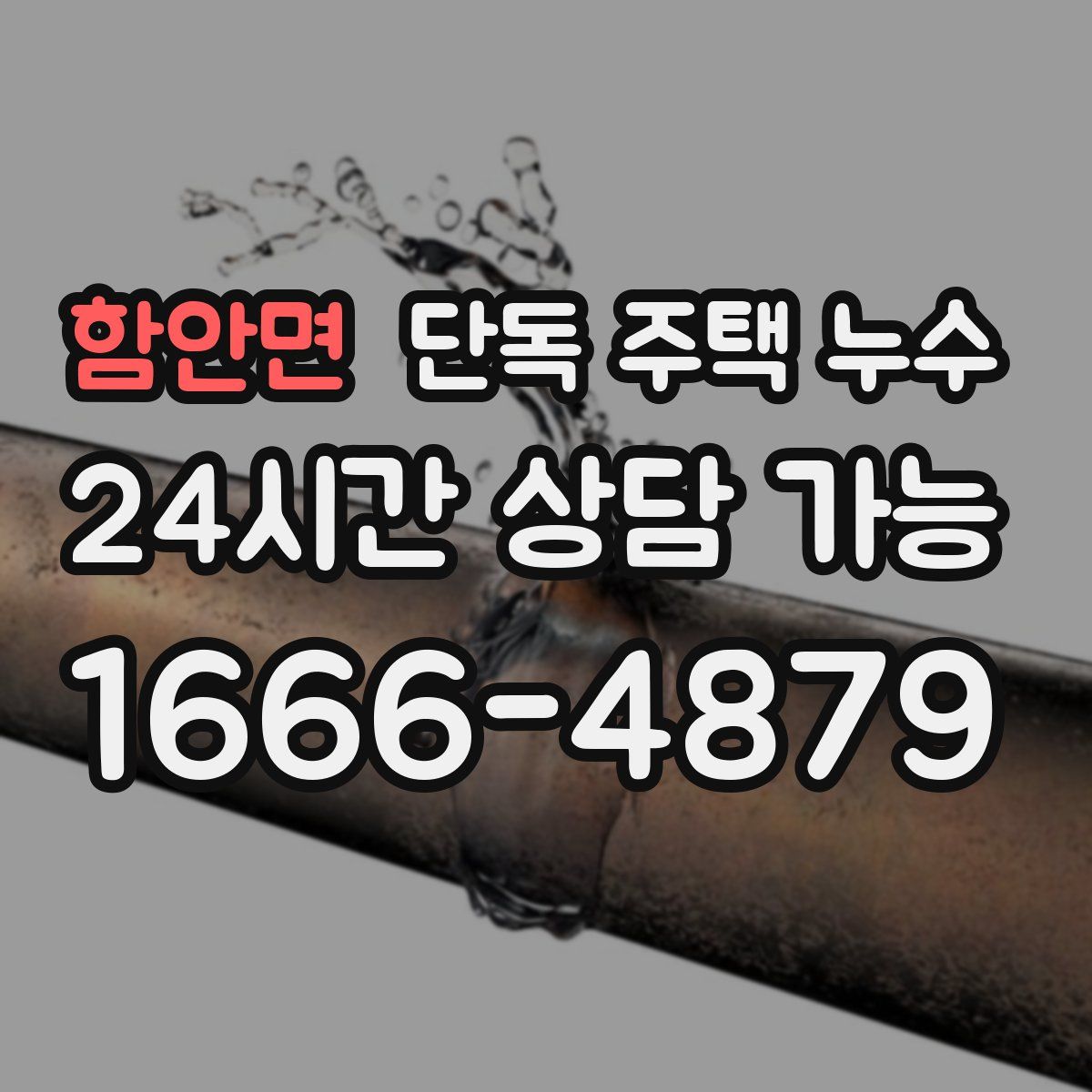 함안면 단독 주택 누수