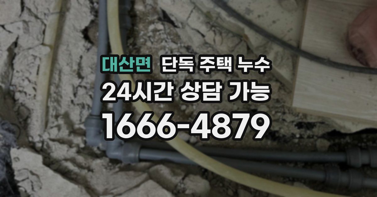 대산면 단독 주택 누수