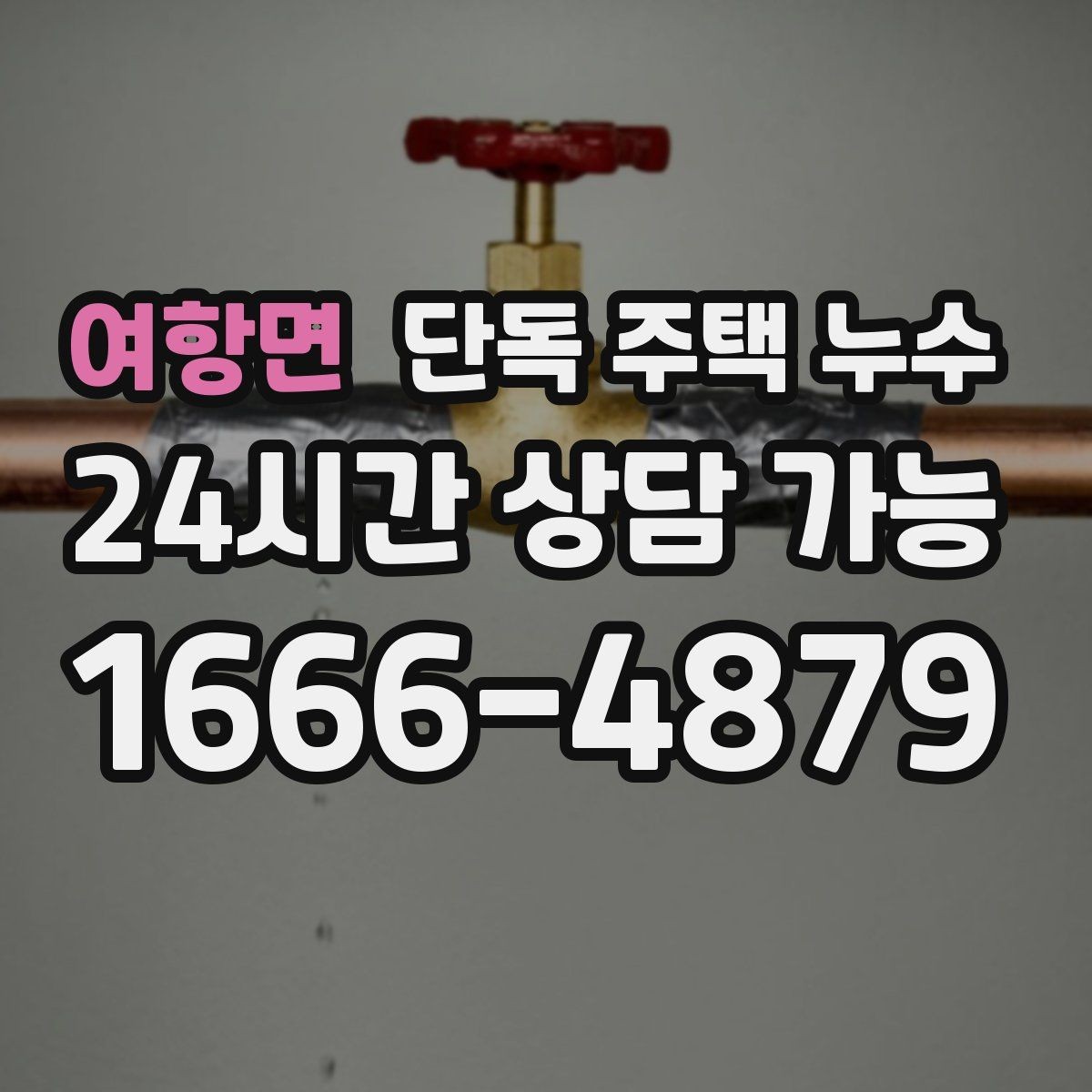여항면 단독 주택 누수 분배기 밸브 주변 물자국이 생길 때