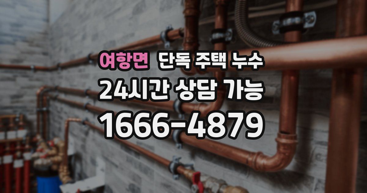 여항면 단독 주택 누수