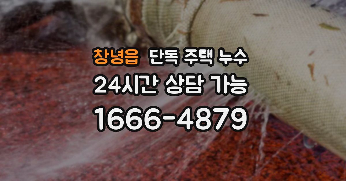 창녕읍 단독 주택 누수