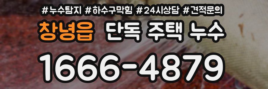 창녕읍 단독 주택 누수