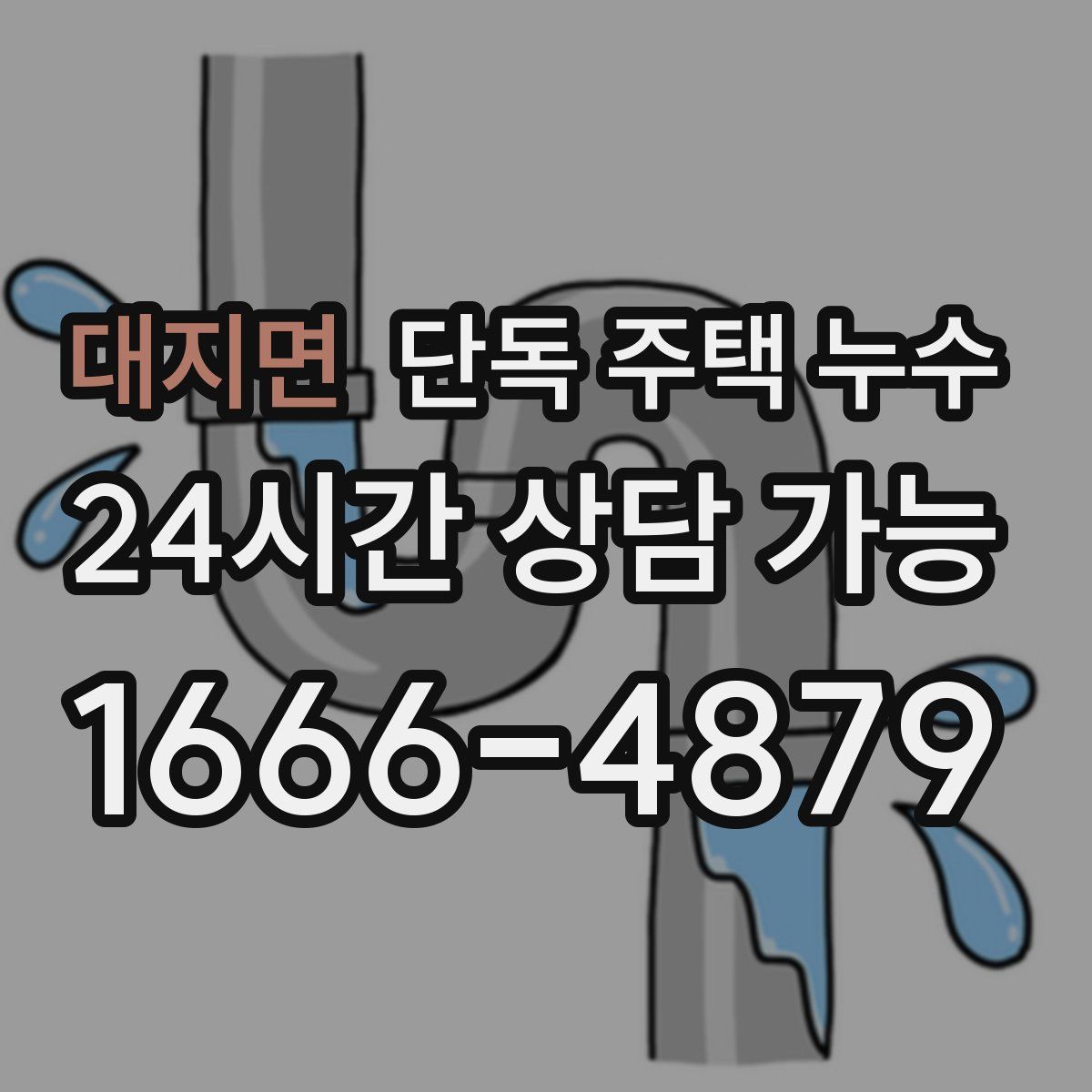 대지면 단독 주택 누수