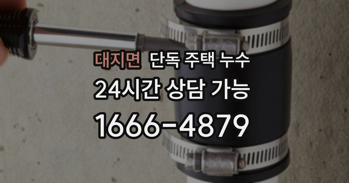 대지면 단독 주택 누수