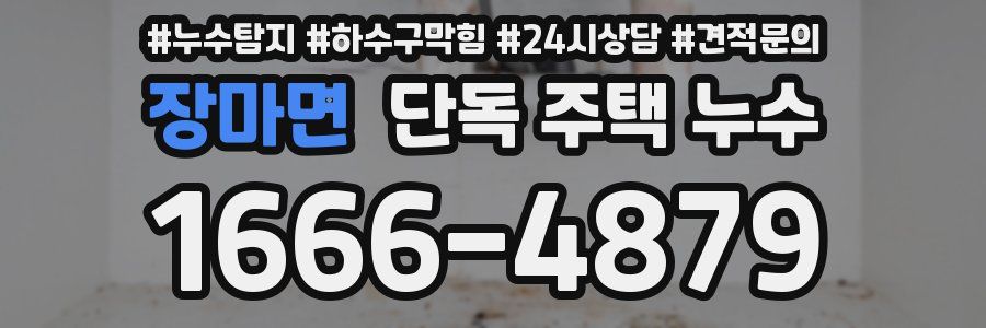 장마면 단독 주택 누수