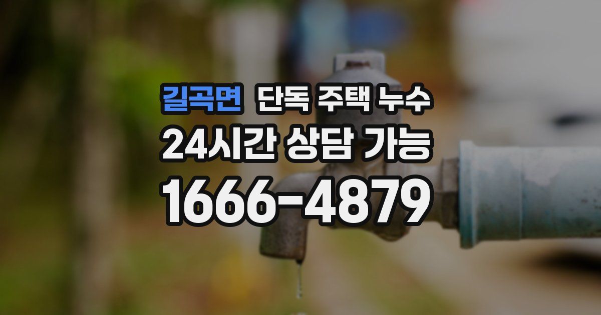 길곡면 단독 주택 누수