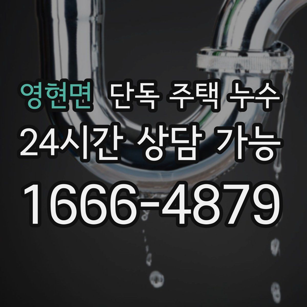 영현면 단독 주택 누수