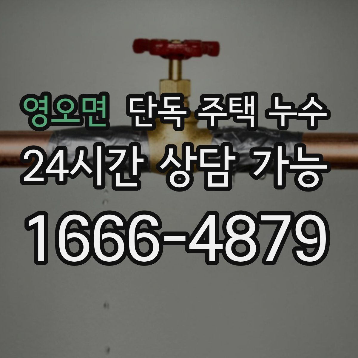 영오면 단독 주택 누수