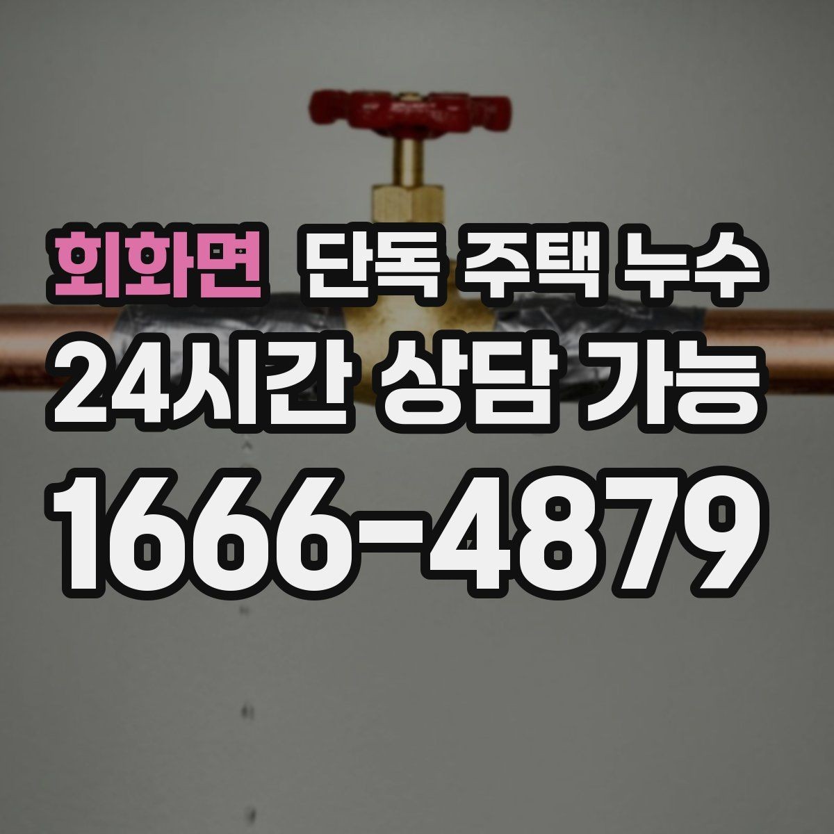회화면 단독 주택 누수 벽 모서리 곰팡이가 반복될 때 점검