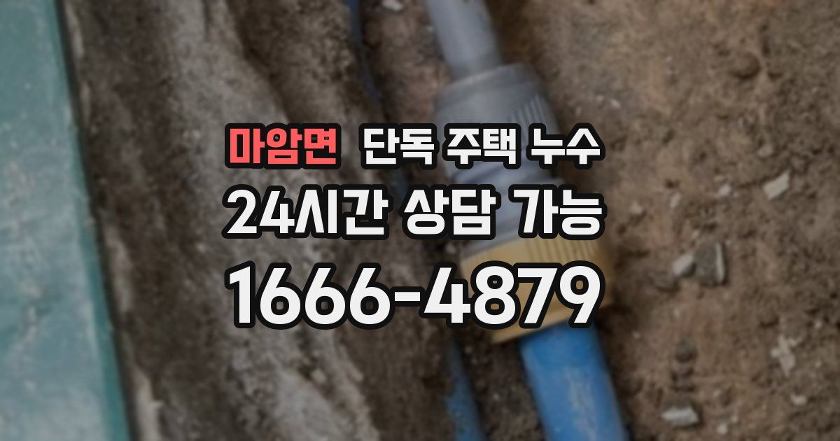 마암면 단독 주택 누수