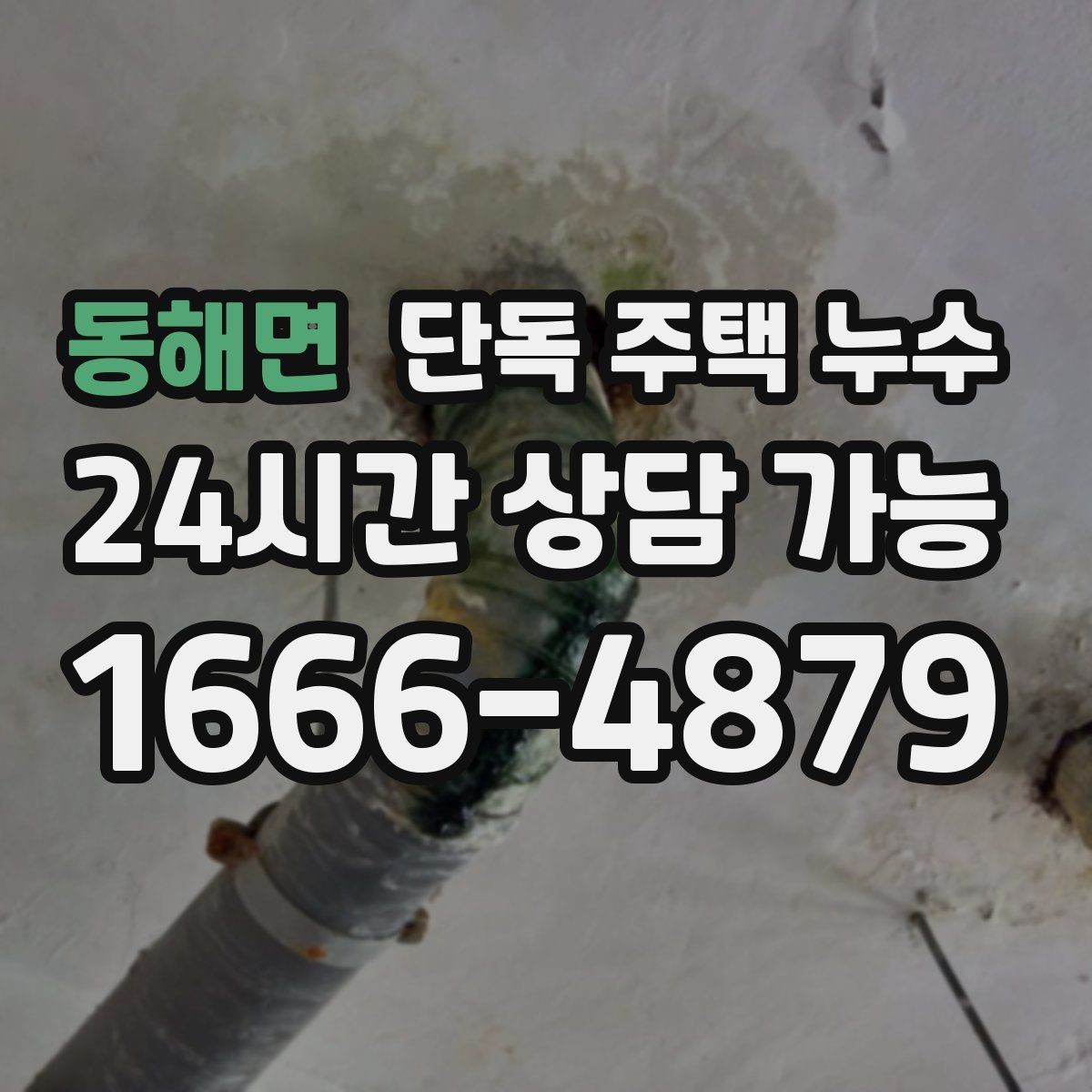 동해면 단독 주택 누수 외벽 타일·마감재 들뜸이 신호일 때