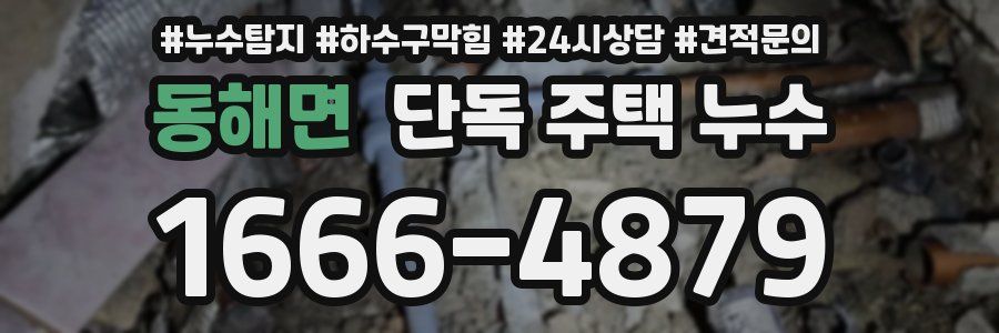 동해면 단독 주택 누수