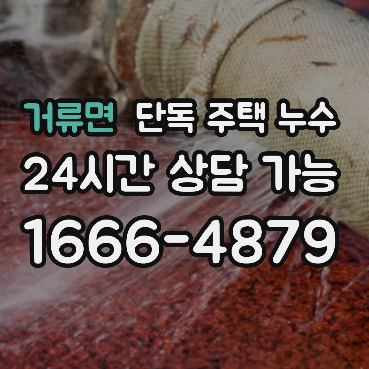 거류면 단독 주택 누수