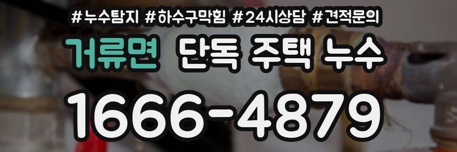 거류면 단독 주택 누수