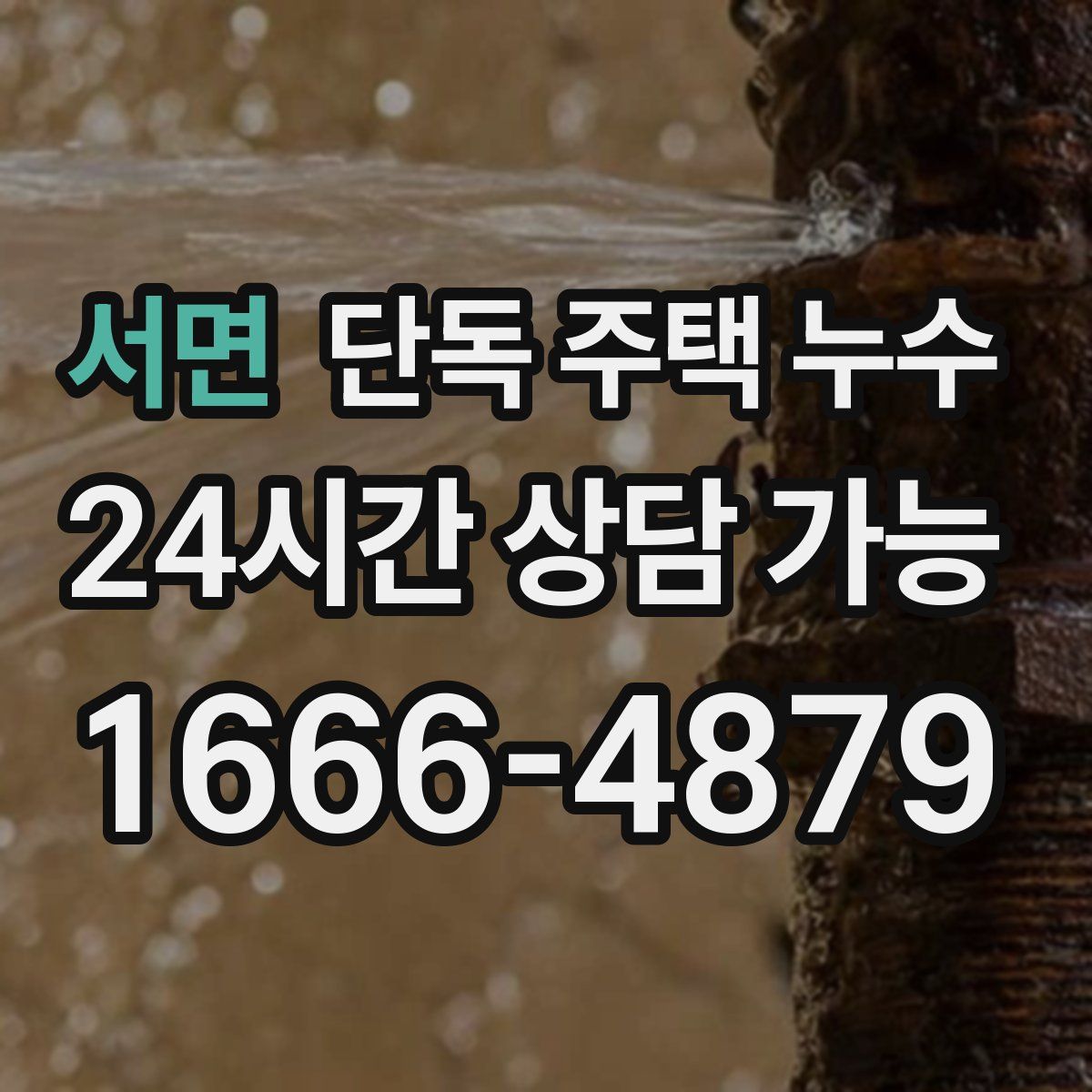 서면 단독 주택 누수