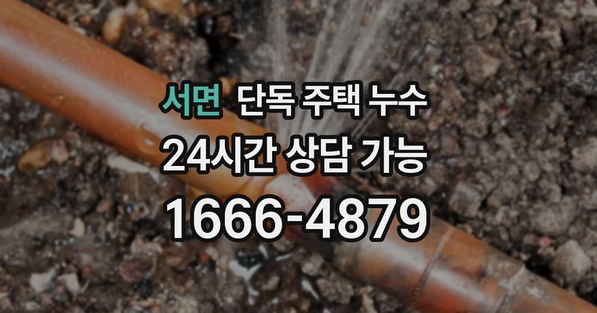 서면 단독 주택 누수