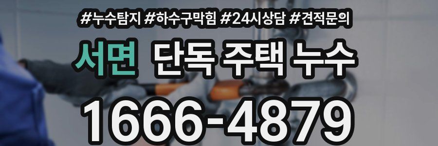 서면 단독 주택 누수